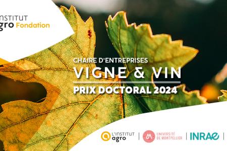 Prix doctoral 2024 vigne et vin