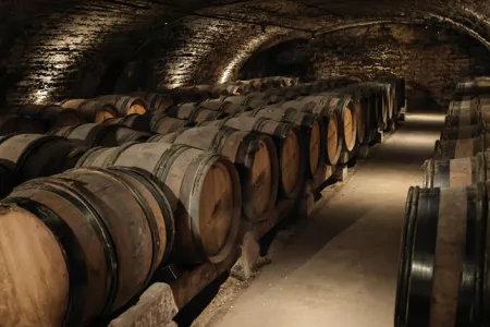 Vinification et levure