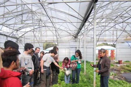 Visite de serre - Agroécologie