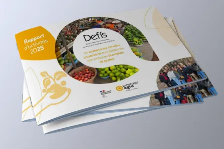 DEFIS - Rapport d'activités 2025