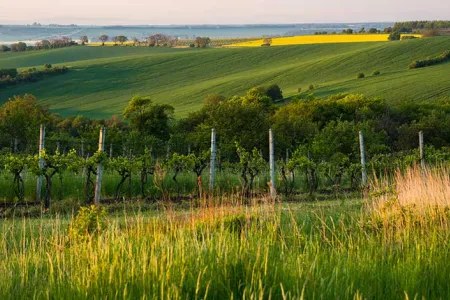 Paysages méditerranéens - ENVATO