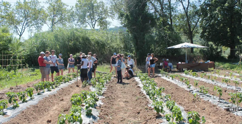 AgriCultures 2017 - stage dans une exploitation agricole familiale