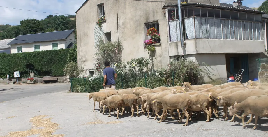... et de l'agriculture française
