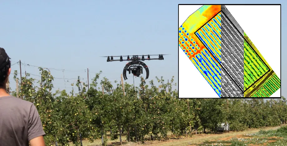 Phénotypage haut-débit : imagerie haute résolution aéroportée par drone (© C. Fatou – Irstea) / Phénotypage d’un verger de pommiers. Imagerie multicouches : de g. à dr. : IR-thermique, proche-IR, NDVI (fausses couleurs) (Crédit : N. Virlet et J.L. Kelner)