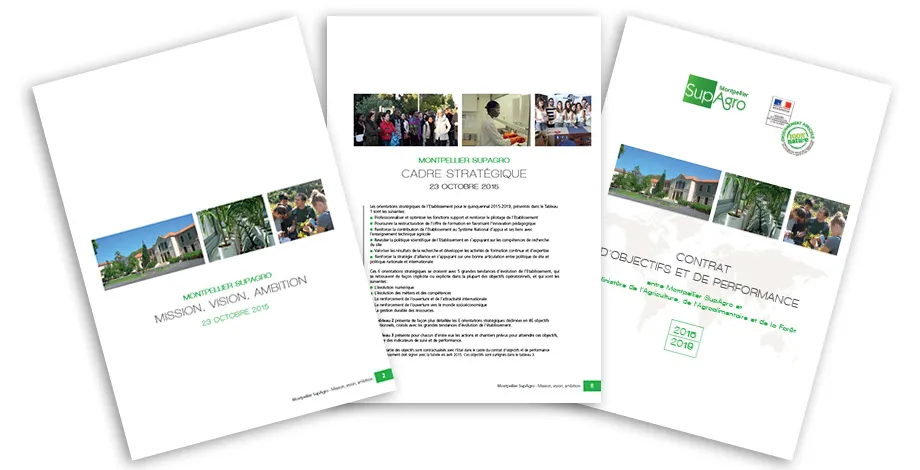 Projet stragétique 2015-2019 - Montpellier SupAgro