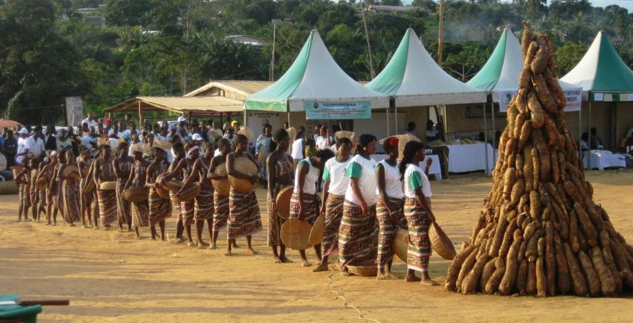 Fête du manioc à Ngoulémakong (Cameroun)