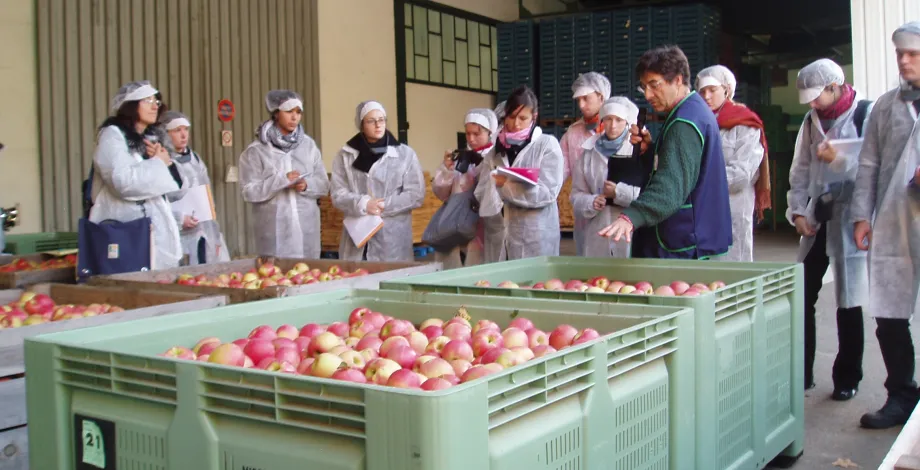 Agroalimentaire