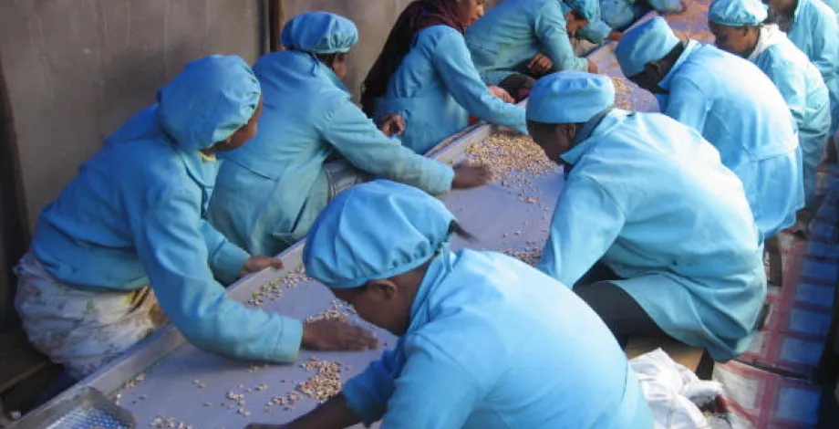 Marchés, organisations, qualité, services dans les agricultures du sud