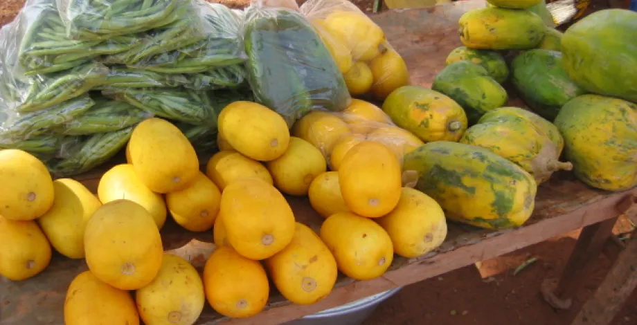 Marchés, organisations, qualité, services dans les agricultures du sud