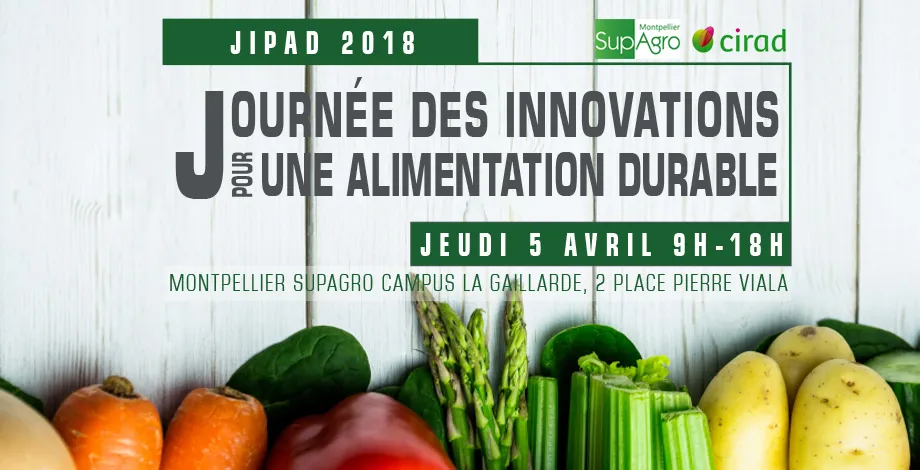 JIPAD 2018