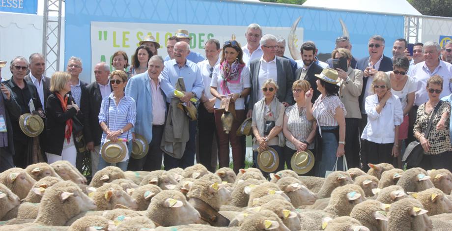 Près de 1.500 animaux de la ferme présents au salon dont les emblématiques moutons Mérinos...