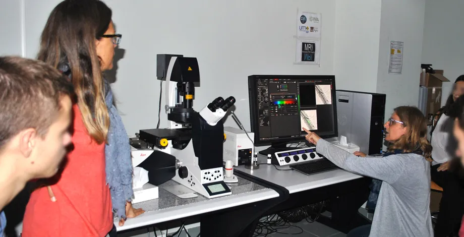 Etudes des plantes à l'échelle microscopique