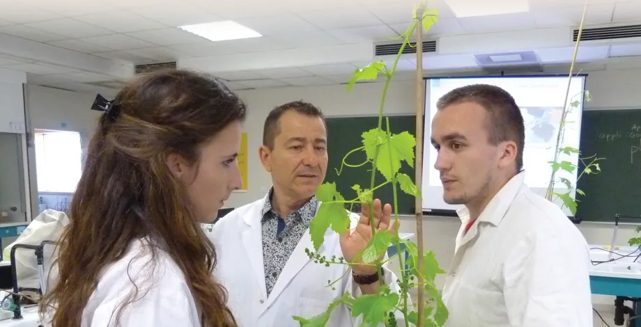 Taxe d'apprentissage 2019