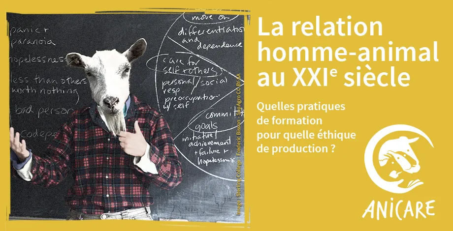 Colloque - Relation homme-animal