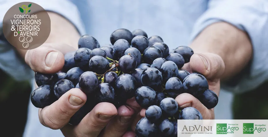 5ème édition du Concours Vignerons & Terroirs d'Avenir