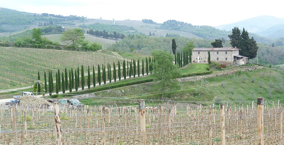 Voyage d'études dans un vignoble dans le Chianti, Italie (2017)