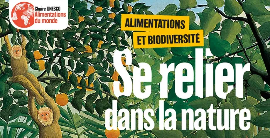 9° colloque Chaire UNESCO