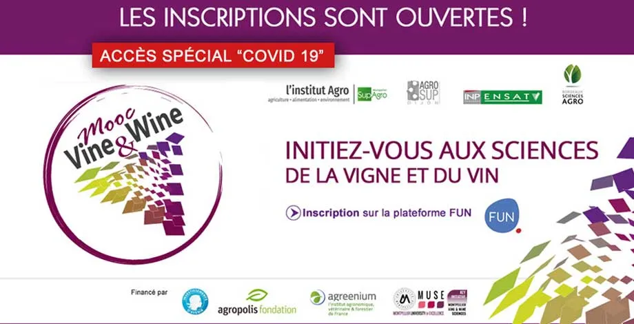 Mooc Vine & Wine - Accès spécial