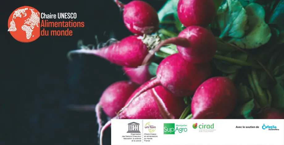 Chaire UNESCO - Séminaire de rentrée 2020