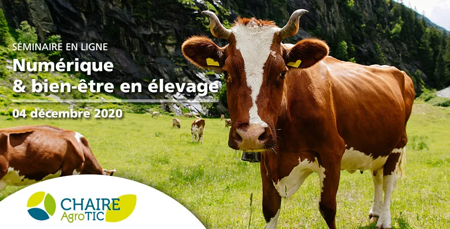 Séminaire Chaire AgroTIC – Numérique et bien-être animal