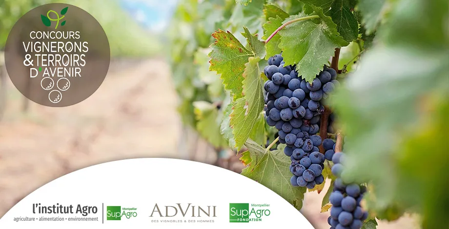 Concours Vignerons et Terroirs d’Avenir 6° édition