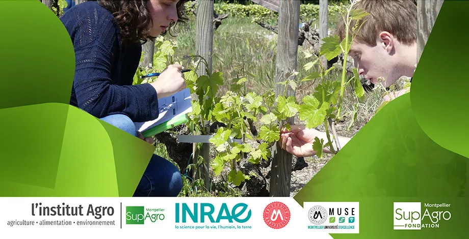 1er Séminaire de la Chaire d’entreprises Vigne-Vin 