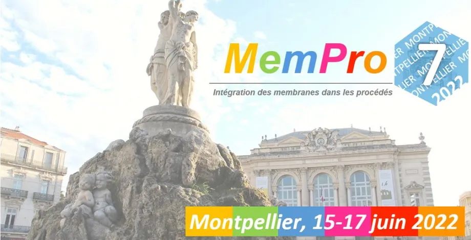 MemPro 7