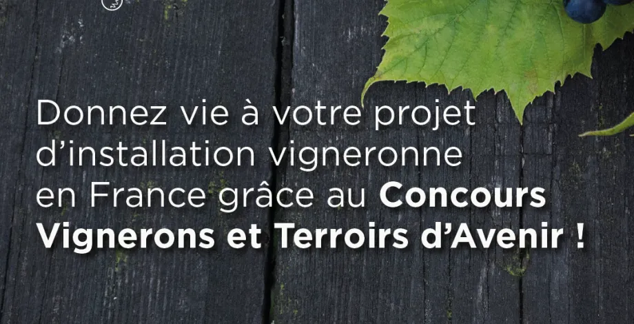 7éme édition 