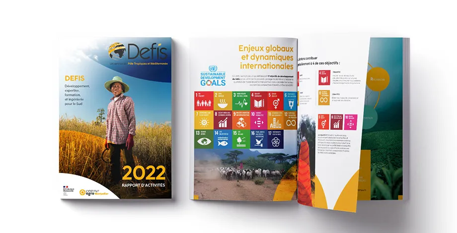  Rapport d'activités DEFI 2022