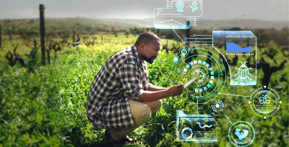 Séminaire AgroTIC - Le numérique est-il à la hauteur des enjeux de biodiversité en agriculture ?