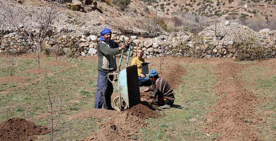 Ait Bouguemez, Maroc - Enquête pratique agricole dans le cadre de l'option Ressources, systèmes agricoles et développement (RESAD) 