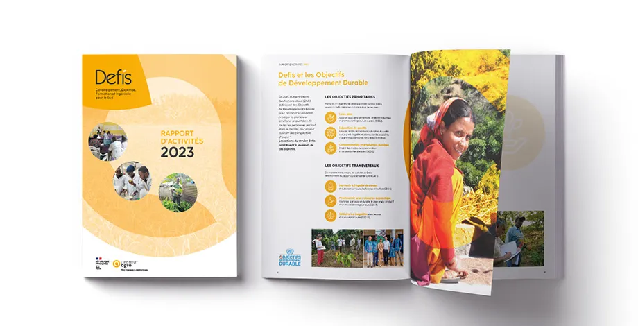 DEFIS - Rapport d'activités 2023