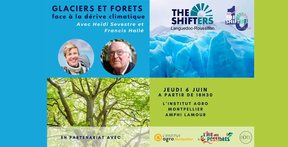 Glaciers et Forêts