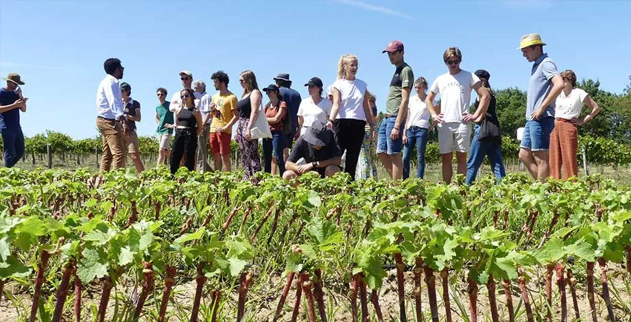Visite des étudiant·es ingénieur·es d'une pépinière de petites vignes