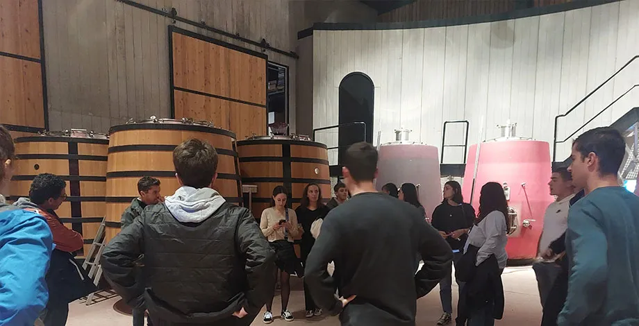 Visite du Chai au Domaine de Castigno (2024)