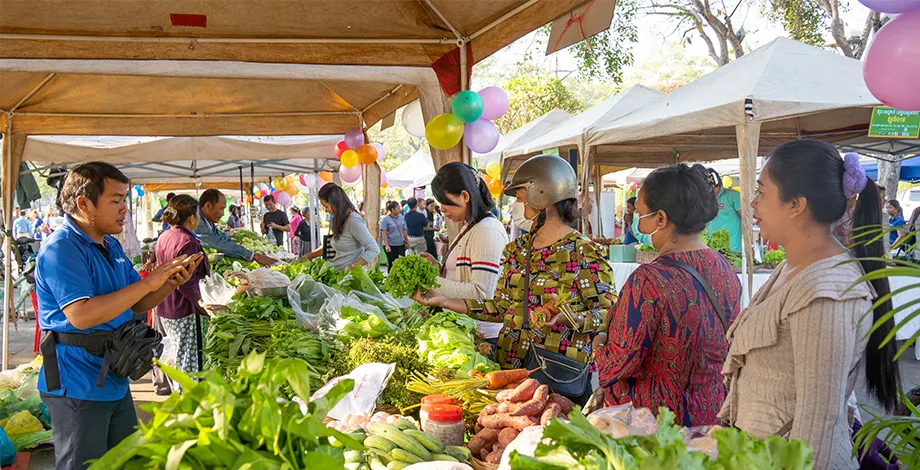 Maraîchage périurbain