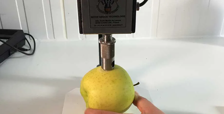 Mesures de qualité d'un fruit- © Association Nationale Pommes Poires