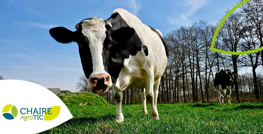 Séminaire AgroTIC – Numérique pour la gestion des surfaces pâturées