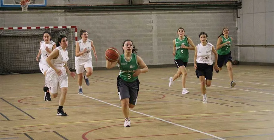Le basket au féminin
