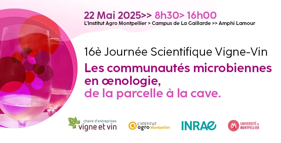 16e édition de la journée Scientifique Vigne et Vin 