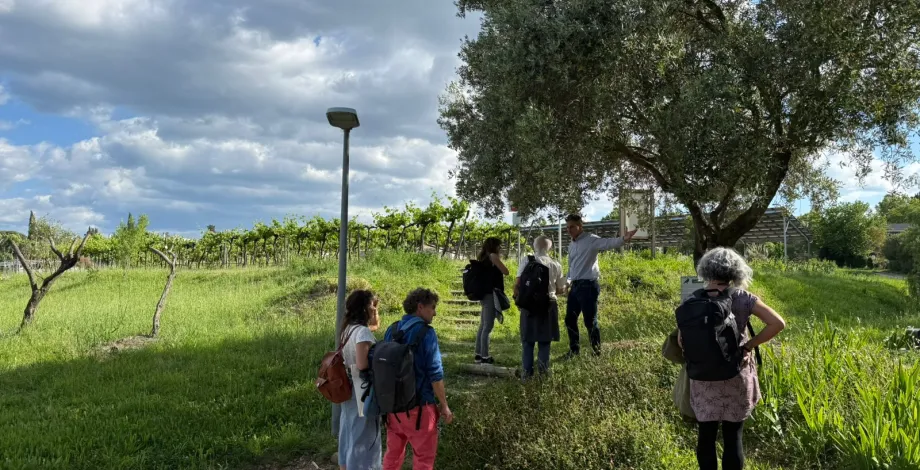 Escapade vers le vignoble pédagogique et expérimental Pierre Galet