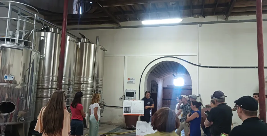 Visite de la cave de vinification