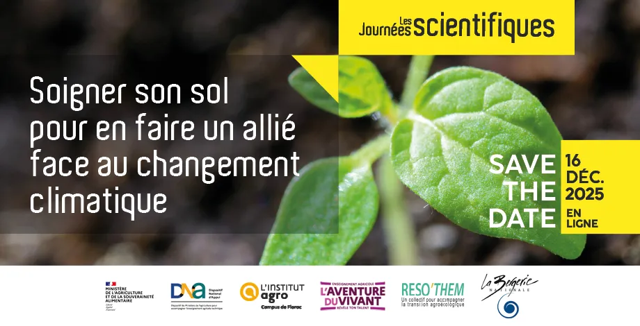 Soigner son sol pour en faire un allié face au changement climatique