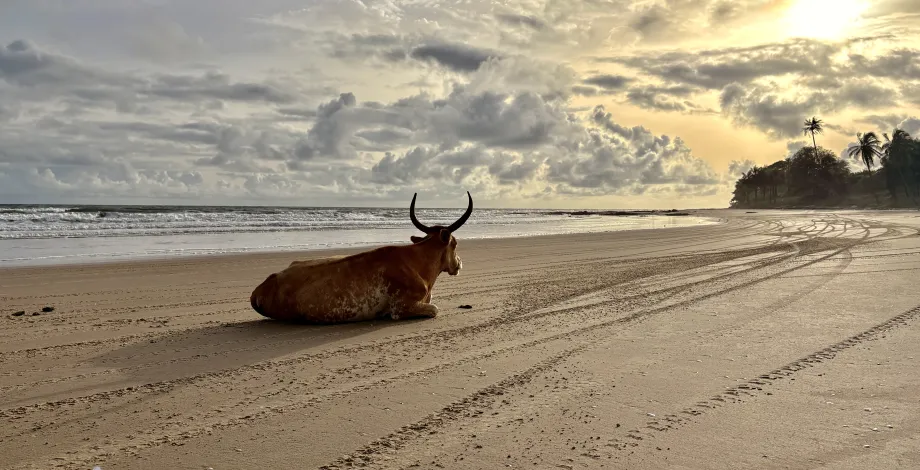 Lueur d'espérance - Alexandre Haharfi