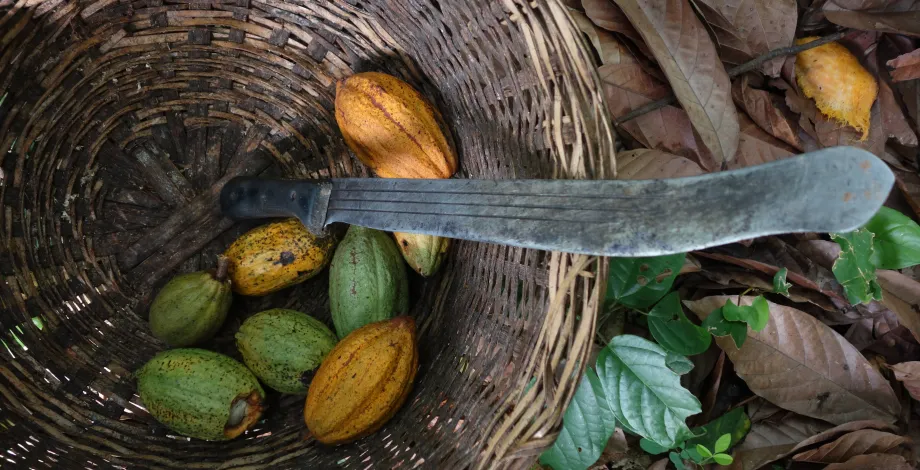 La richesse des pays pauvre - Emilie Bessonnat