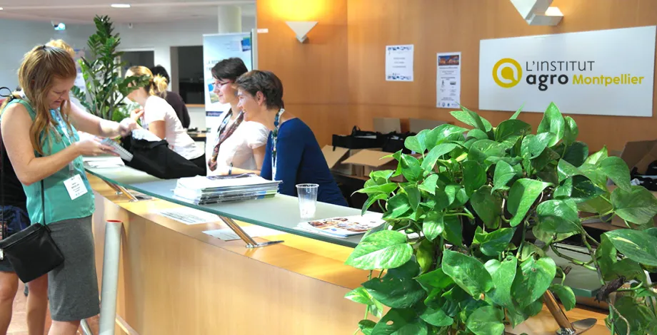 Banque d'accueil - Espace Philippe Lamour, Montpellier