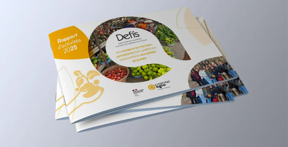 DEFIS - Rapport d'activités 2025