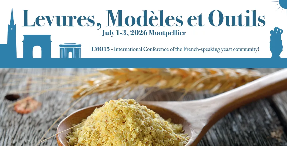 Levures Modèls Outils