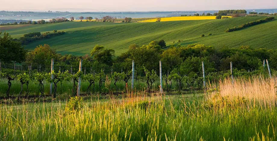 Paysages méditerranéens - ENVATO