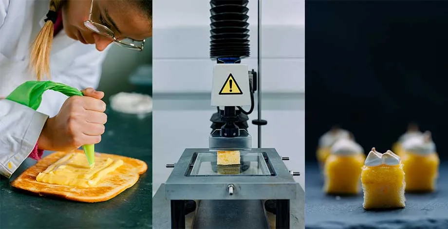 Revisite de la recette traditionnelle de la tarte au citron meringuée pour l'adapter à l'alimentation des personnes atteintes de la maladie d’Alzeihmer (Tradinnovations 2025-2026)